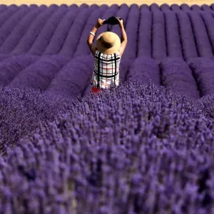 Agriculture