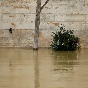 A Christmas tree next to a tree is seen on the flooded banks of the River Seine in Paris A Christmas tree next to a tree is seen on the flooded banks of the River Seine in Paris