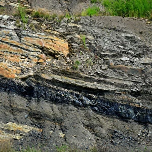 A coal seam can be seen in the rock along the highway in Partridge
