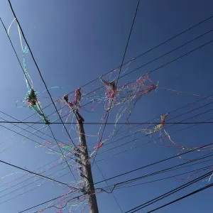 Festival