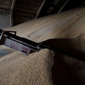 Corn imported from Brazil is stored at a warehouse in Tuxpan