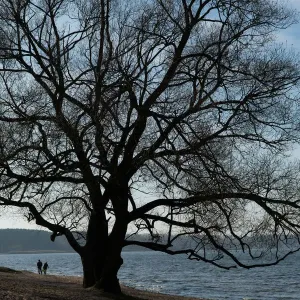 Couple enjoy a sunny autumn day at a lake on the outskirts of Minsk Couple enjoy a sunny autumn day at a lake on the outskirts of Minsk