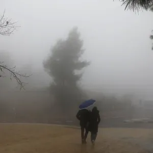 Weather