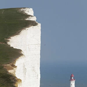 A couple walk along the Seven Sisters cliffs close to the Beachy Head lighthouse near Eastbourne