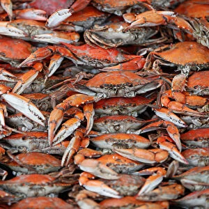 Crabs are seen at the fish market
