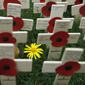 Crosses and poppies are seen in the Field of Remembrance in Westminster Abbey in London