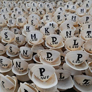 Decoration pieces made of ocean shells with painted alphabets, to attract visitors