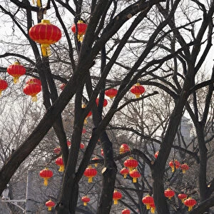 Decorations for the upcoming Chinese Lunar New Year are pictured in Beijing