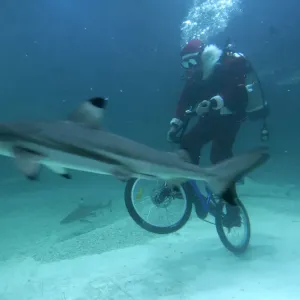 A diver in a Santa Claus costume rides bicycle in shark aquarium at Jakartas Sea World