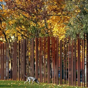 Wall