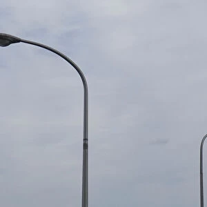 An egret sits on a lamp post in Beppu