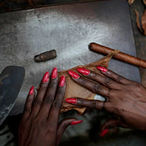 An employee rolls tobacco at the Corona tobacco factory in Havana