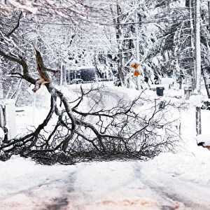 A fallen tree branch blocks a road in Great Falls, Virginia, just outside Washington