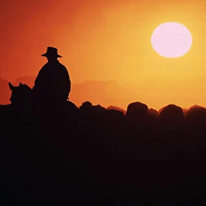 FARMER HERDS CATTLE IN OUTBACK QUEENSLAND