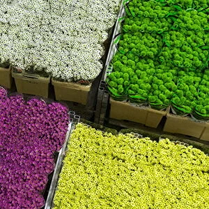 File picture shows flowers at the Royal FloraHolland flower market in Aalsmeer