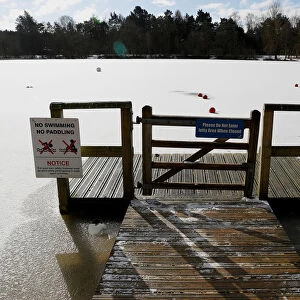 A frozen lake is seen in Elveden Forest, Suffolk