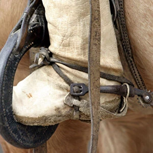 Gauchos foot is seen in a stirrup on a horse during annual Argentine livestock show