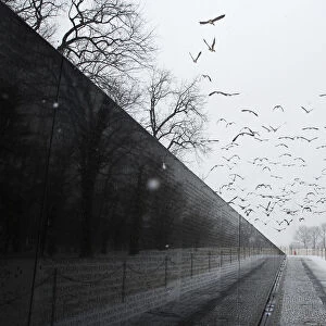 Geese fly past the Vietnam Veterans Memorial during a snow storm in Washington