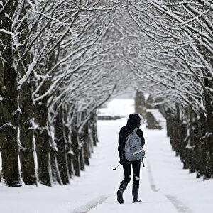 A girl walks along a road under snow-covered trees in Moulin