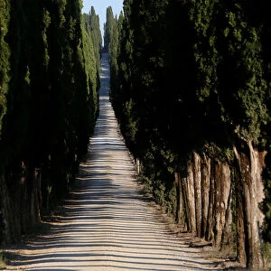 A gravel road is seen in San Gusme countryside in Tuscany