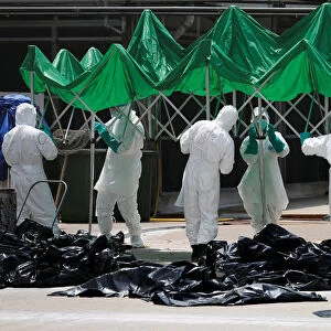 Health officers set up a marquee as they cull poultry at a wholesale market in Hong Kong