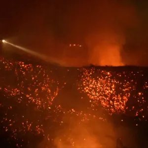 Wildfire