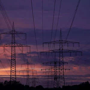 High voltage power lines are seen as the sun sets near the Staudinger coal power plant of