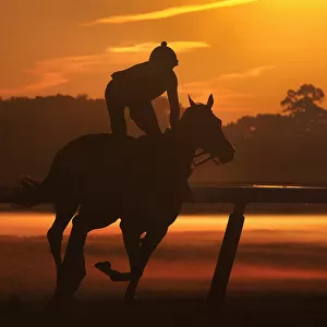 A horse and its rider are seen in silhouette during early morning workouts at Belmont