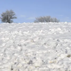 A horse walks after a snowfall in La Fresneda