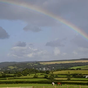Horses graze in a field as a rainbow forms behind in Exmoor National Park, near Minehead