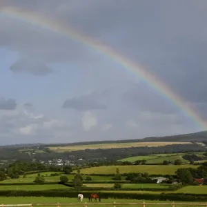 Horses graze in a field as a rainbow forms behind in Exmoor National Park, near Minehead Horses graze in a field as a rainbow forms behind in Exmoor National Park, near Minehead
