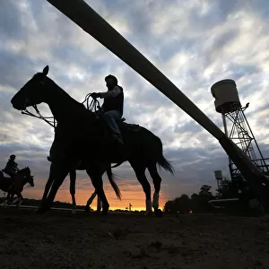 Horses are seen in silhouette making their way to the track for morning workouts at
