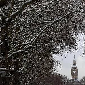 The Houses of Parliament are seen through snow covered trees in London