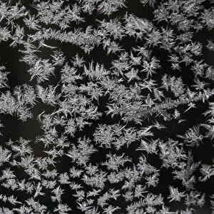 Ice crystals are seen on a window at Skanes Djurpark