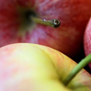 Illustration photo of apples