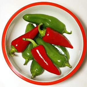 Jalapeno peppers are pictured in Encinitas