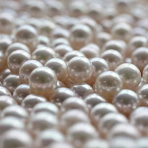 Japanese akoya cultured pearls are pictured at Ohata pearl industry in Ise, western Japan