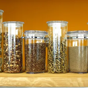 Larvae and food made of insect protein are pictured at the headquarters of German Larvae and food made of insect protein are pictured at the headquarters of German