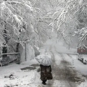 Weather
