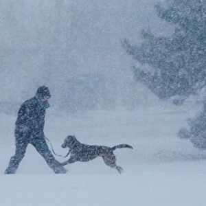 A man and his dog play in the snow during a winter snowstorm in the Boston suburb of