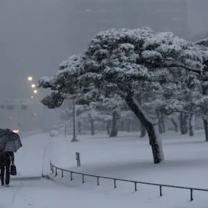 Weather
