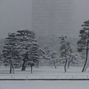 A man makes his way in the heavy snow at the Imperial Palace in Tokyo