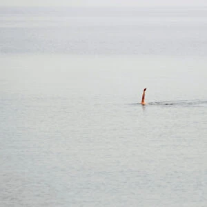 A man swims away from the shore at Orlowo beach in Gdynia