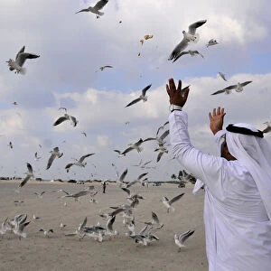 A man throws bread to seagulls at a beach in Jumeirah in Dubai