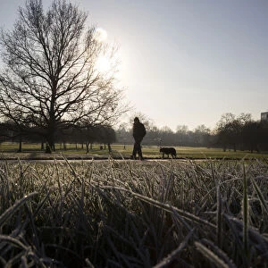A man walks a dog on a frosty morning in Primrose Hill in north London