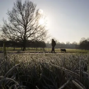A man walks a dog on a frosty morning in Primrose Hill in north London A man walks a dog on a frosty morning in Primrose Hill in north London