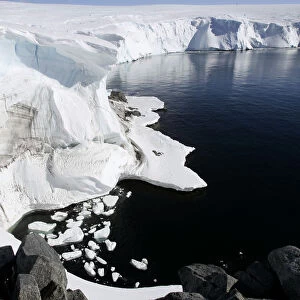 Reuters Collection: Antarctic