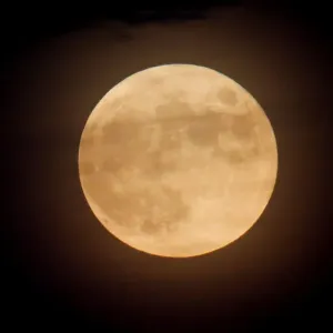 The full moon is seen from West Orange in New Jersey The full moon is seen from West Orange in New Jersey