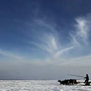 A Nenets man rides a reindeer sledge near a settlement in Tundra region