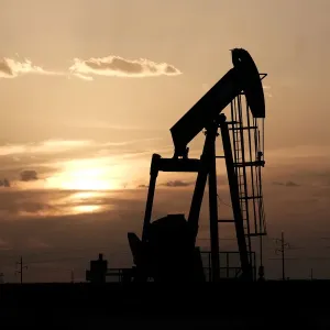 Oil